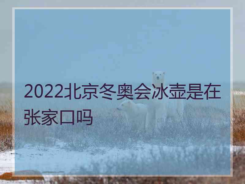 2022北京冬奥会冰壶是在张家口吗