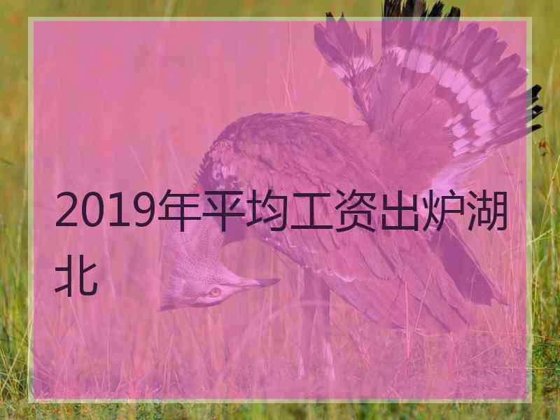 2019年平均工资出炉湖北