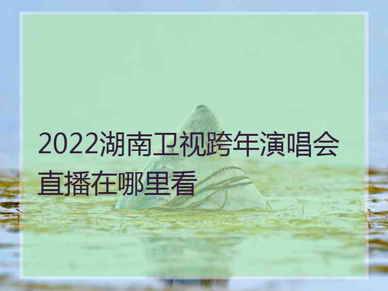 2022湖南卫视跨年演唱会直播在哪里看