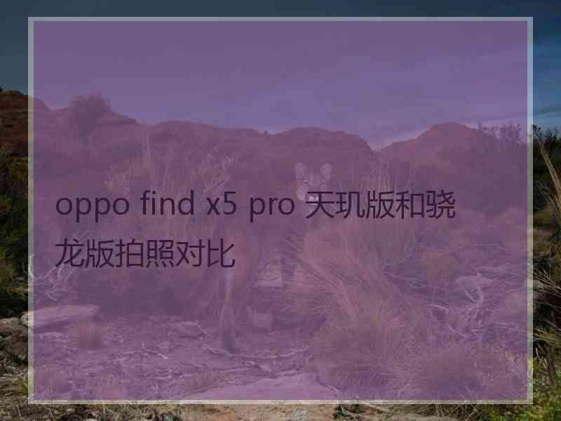 oppo find x5 pro 天玑版和骁龙版拍照对比