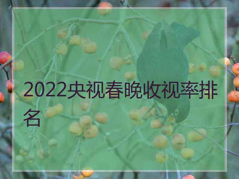 2022央视春晚收视率排名