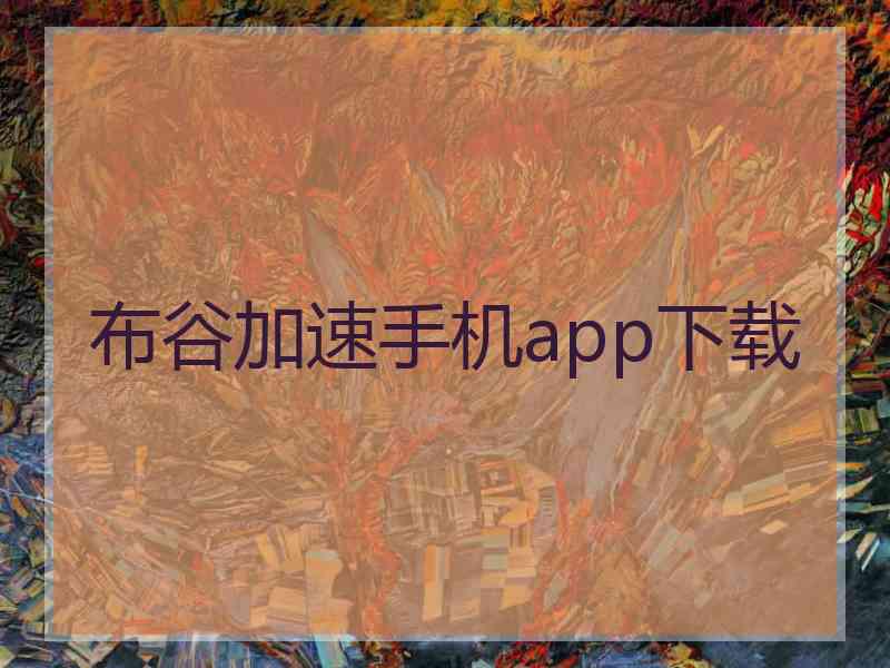 布谷加速手机app下载