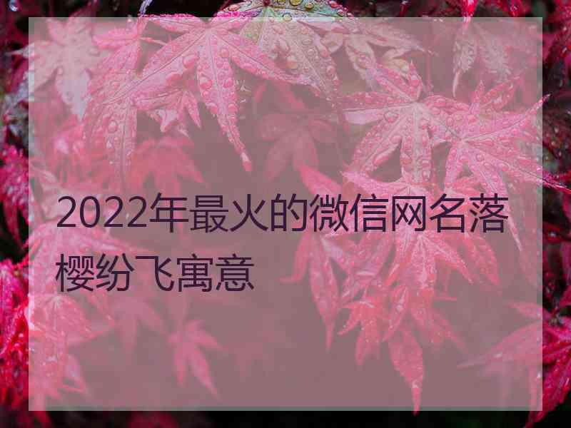 2022年最火的微信网名落樱纷飞寓意