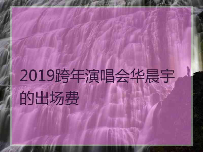 2019跨年演唱会华晨宇的出场费