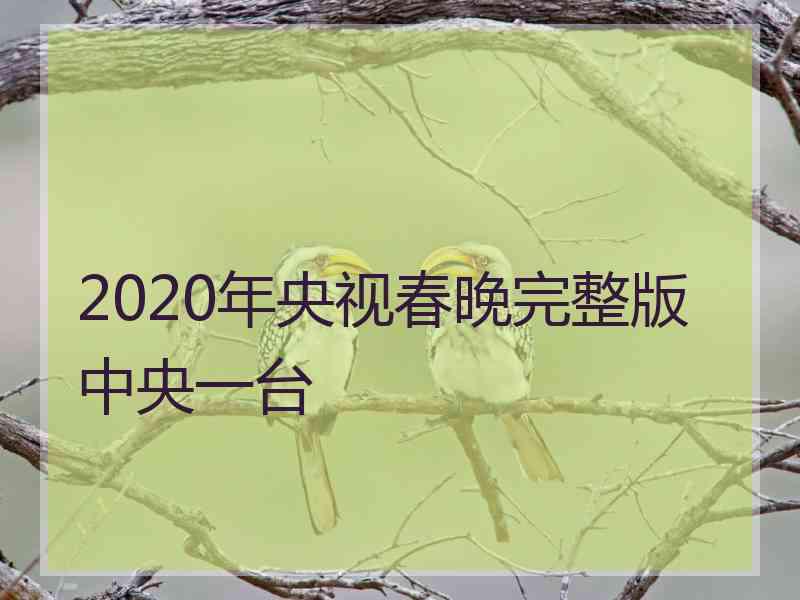 2020年央视春晚完整版中央一台