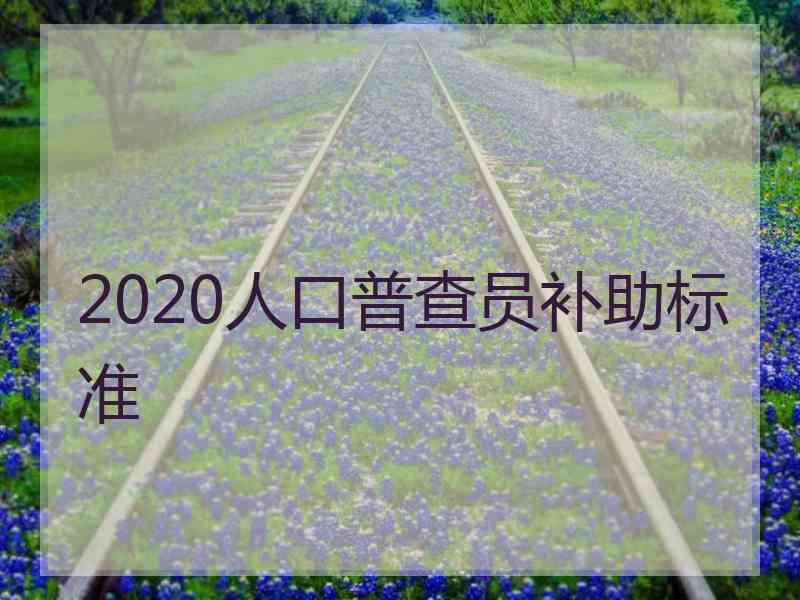 2020人口普查员补助标准