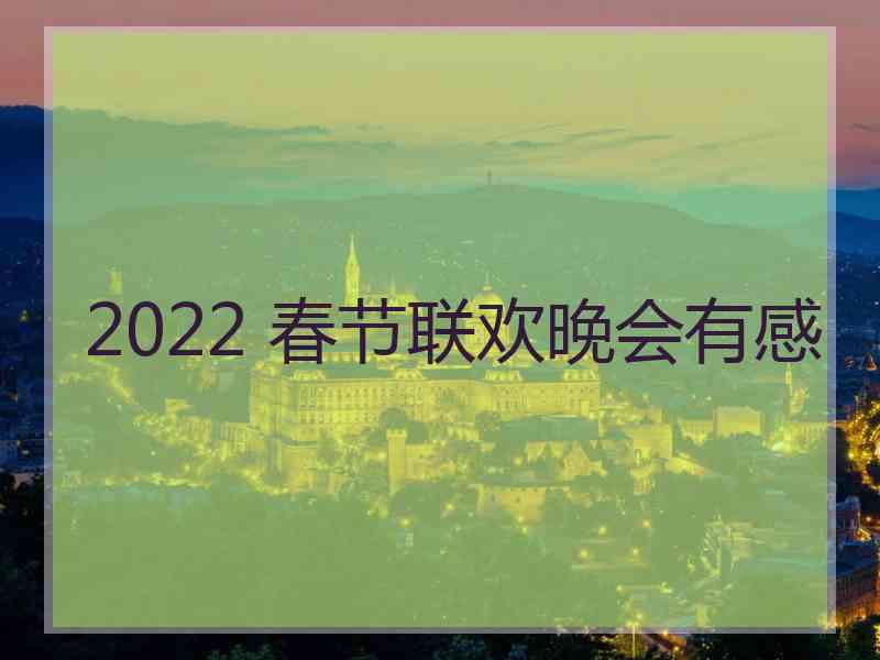 2022 春节联欢晚会有感