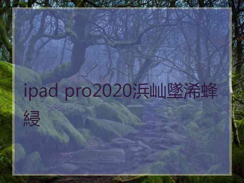 ipad pro2020浜屾墜浠蜂綅