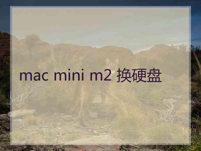 mac mini m2 换硬盘