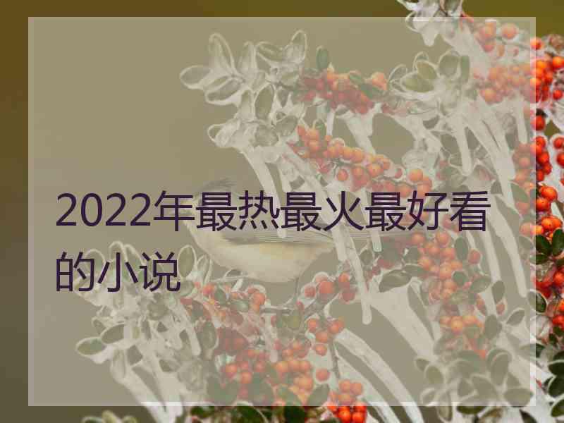 2022年最热最火最好看的小说