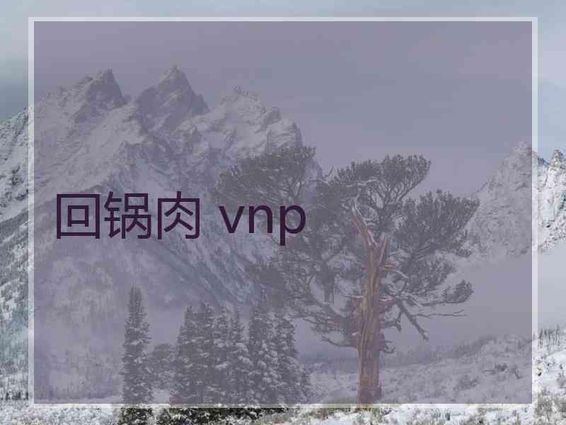 回锅肉 vnp