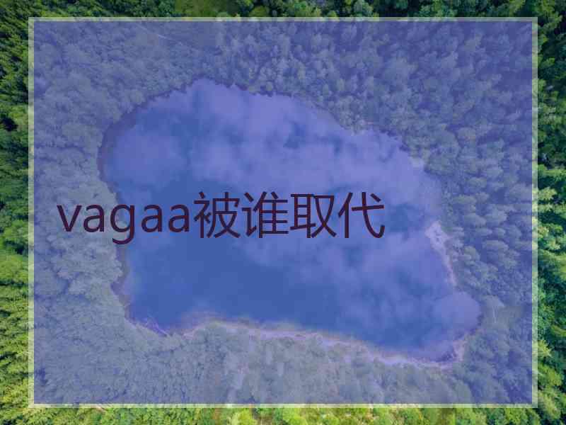 vagaa被谁取代