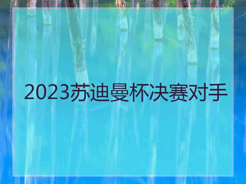 2023苏迪曼杯决赛对手