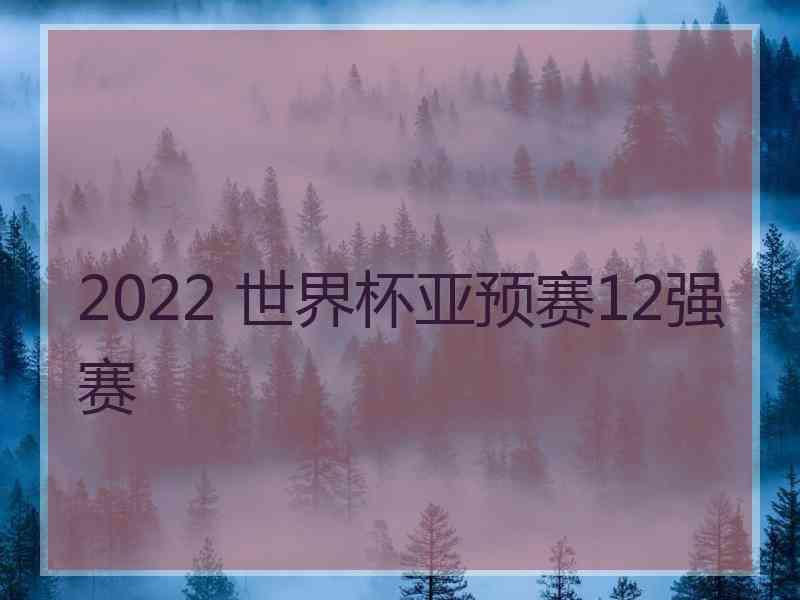 2022 世界杯亚预赛12强赛