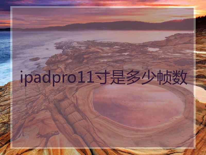 ipadpro11寸是多少帧数