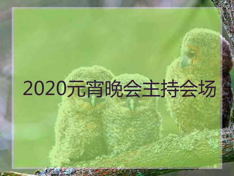 2020元宵晚会主持会场