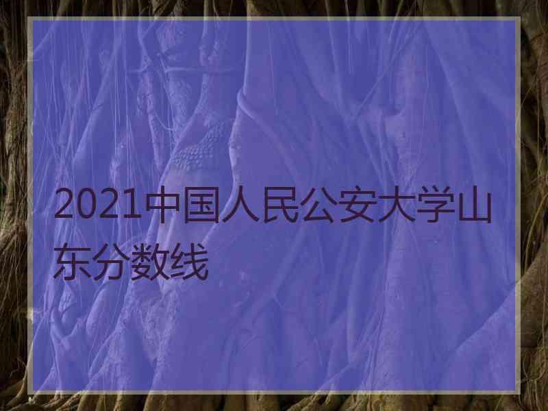 2021中国人民公安大学山东分数线