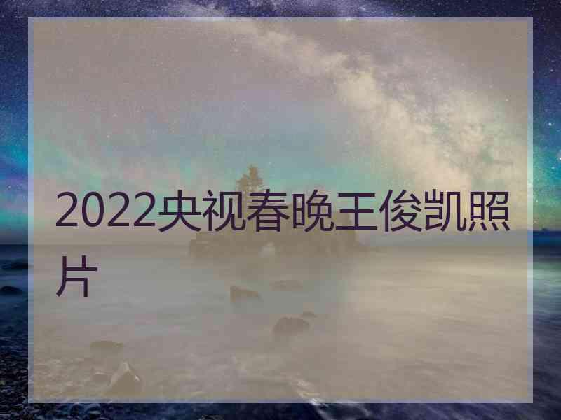 2022央视春晚王俊凯照片