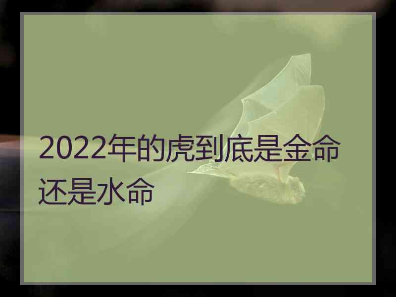 2022年的虎到底是金命还是水命