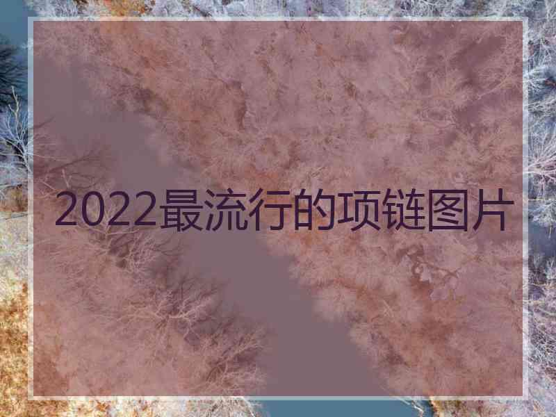 2022最流行的项链图片