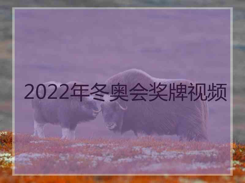 2022年冬奥会奖牌视频