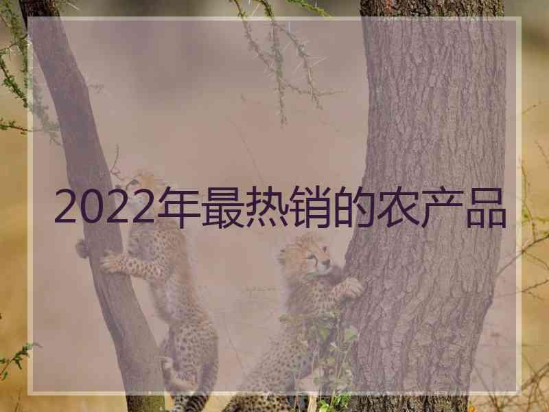 2022年最热销的农产品