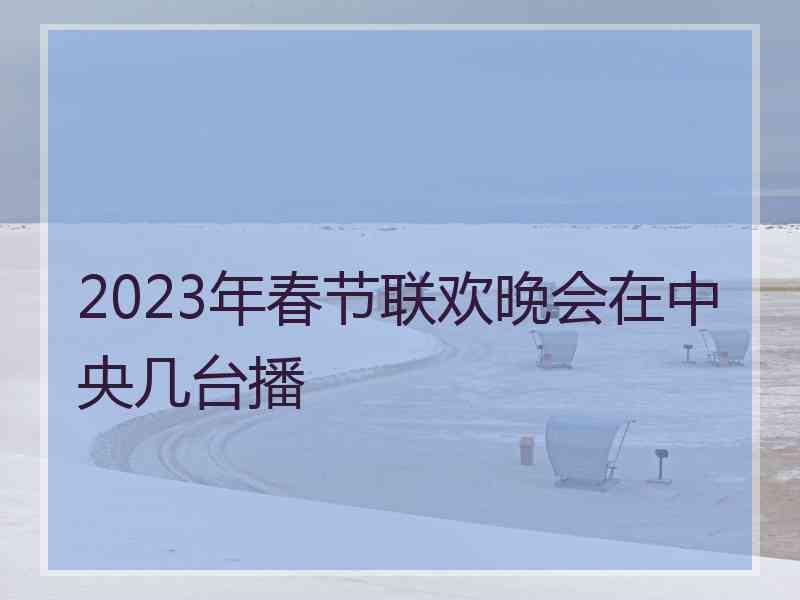 2023年春节联欢晚会在中央几台播