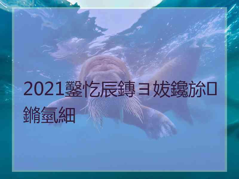 2021鑿忔辰鏄ヨ妭鑱旀鏅氫細