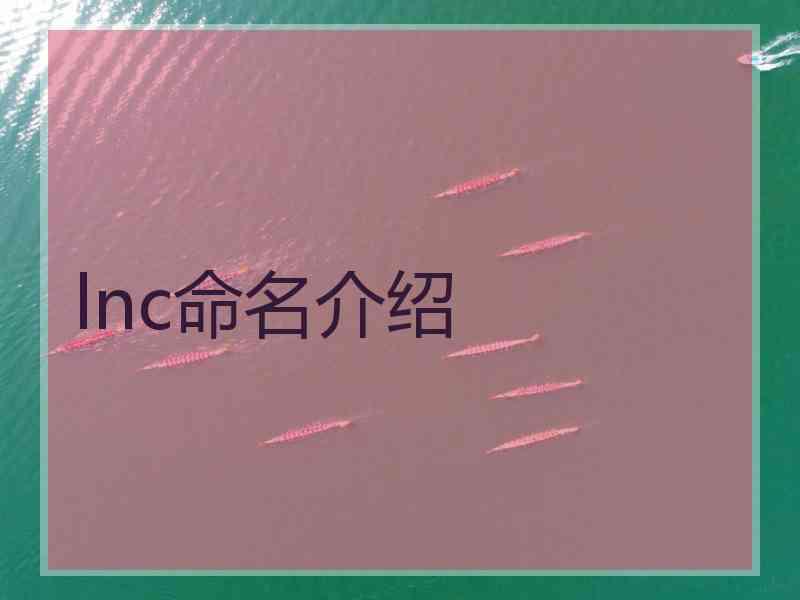 lnc命名介绍