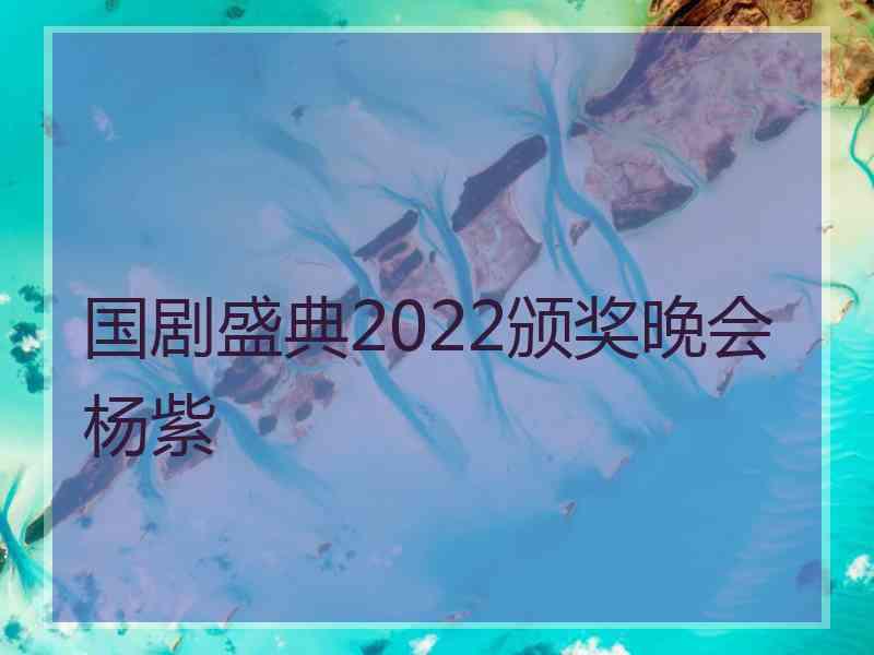 国剧盛典2022颁奖晚会杨紫