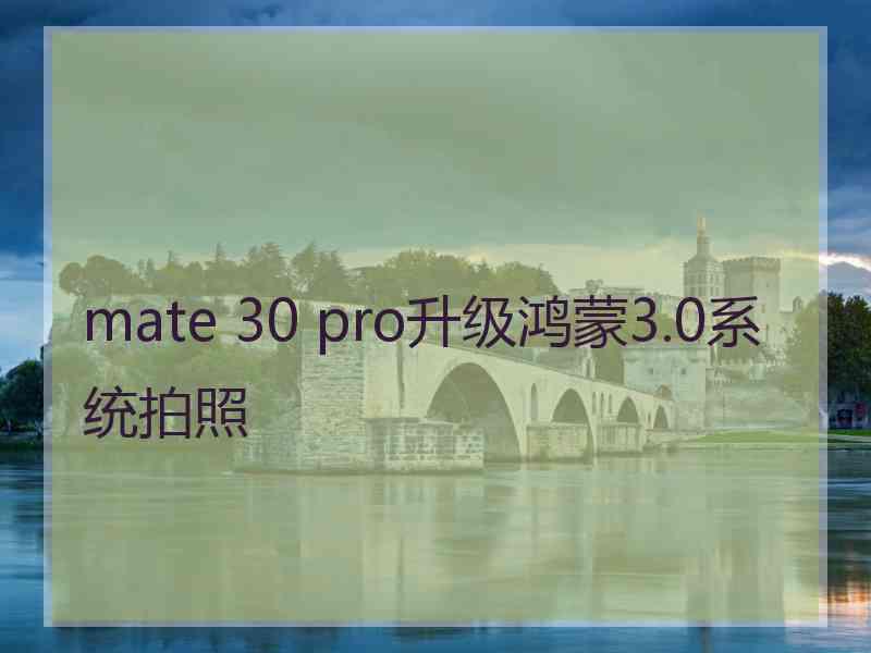 mate 30 pro升级鸿蒙3.0系统拍照