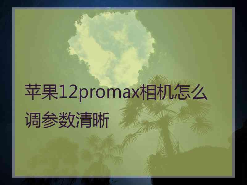 苹果12promax相机怎么调参数清晰