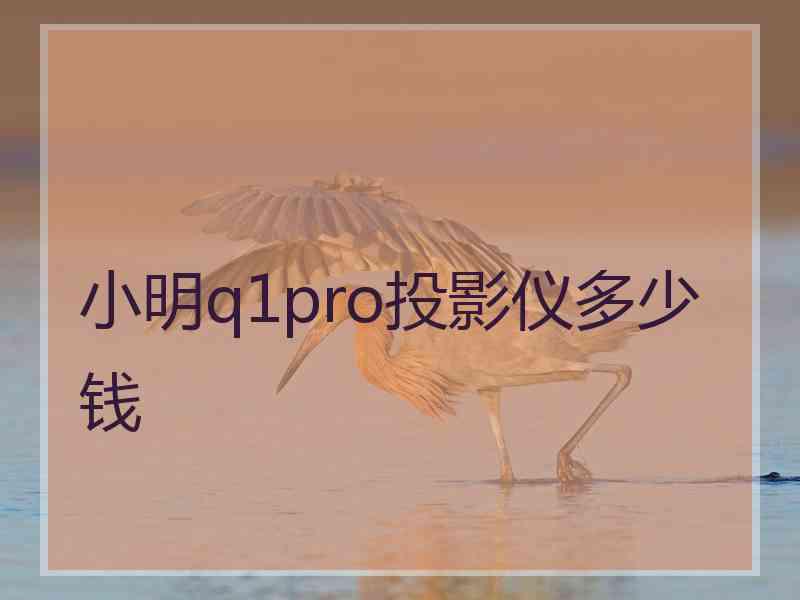 小明q1pro投影仪多少钱