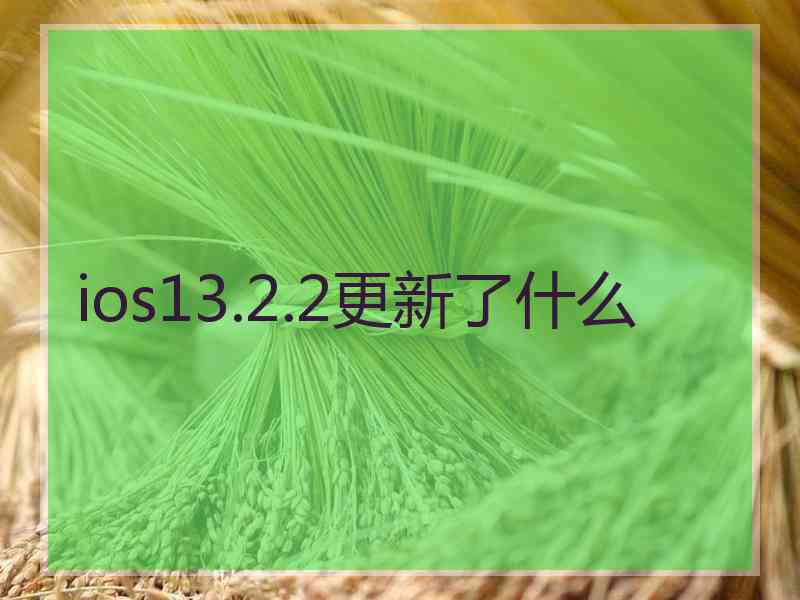 ios13.2.2更新了什么