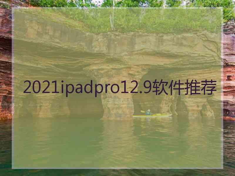 2021ipadpro12.9软件推荐