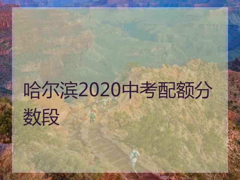 哈尔滨2020中考配额分数段