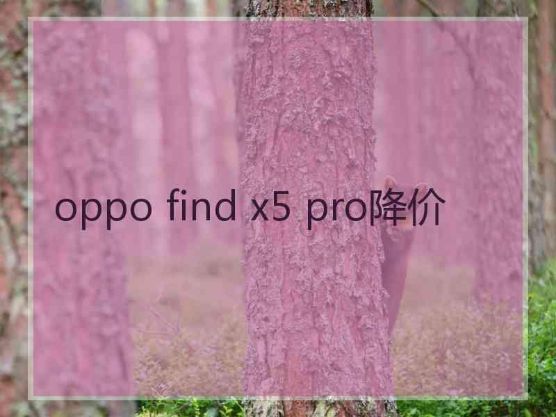 oppo find x5 pro降价