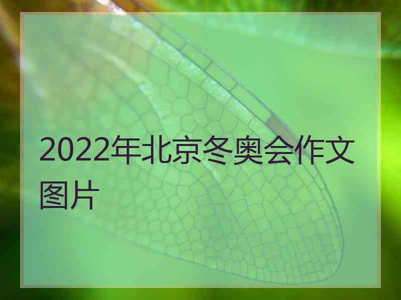 2022年北京冬奥会作文图片