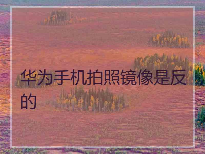 华为手机拍照镜像是反的