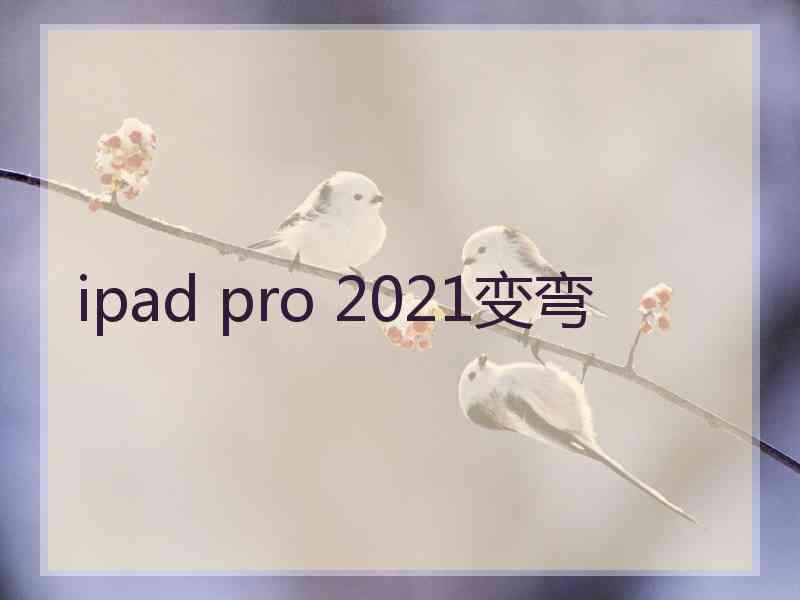 ipad pro 2021变弯