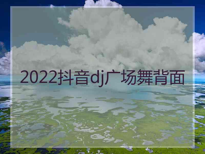 2022抖音dj广场舞背面