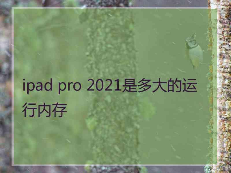 ipad pro 2021是多大的运行内存