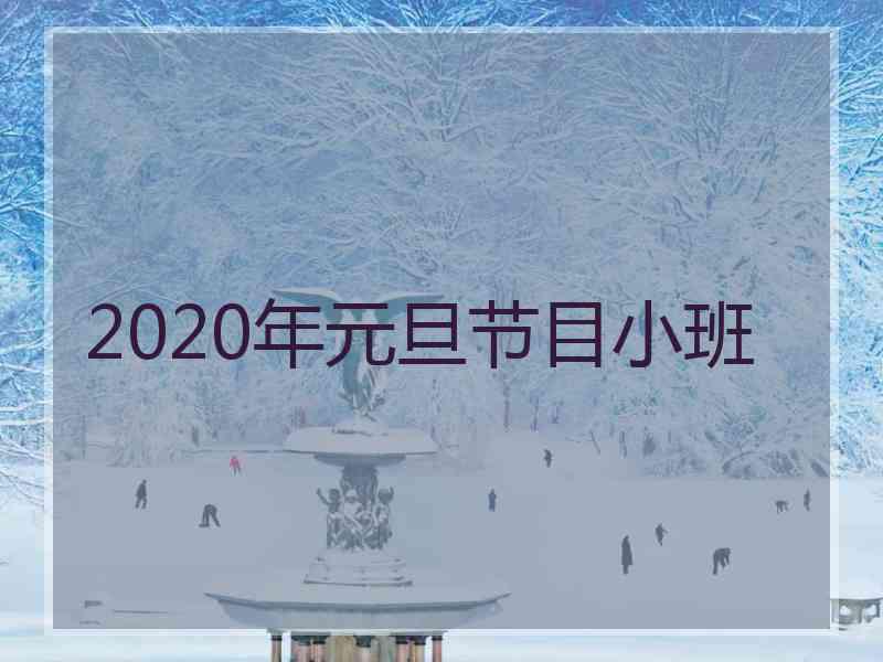 2020年元旦节目小班