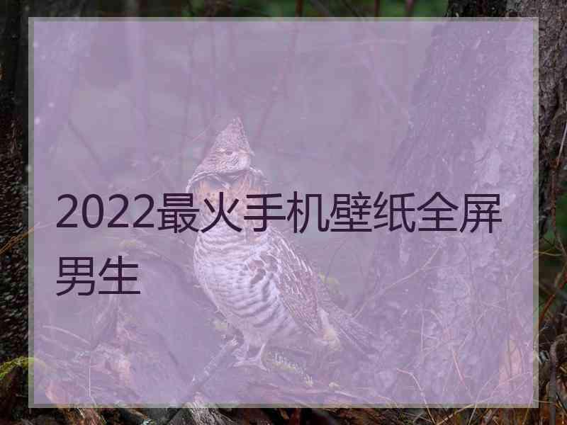 2022最火手机壁纸全屏男生