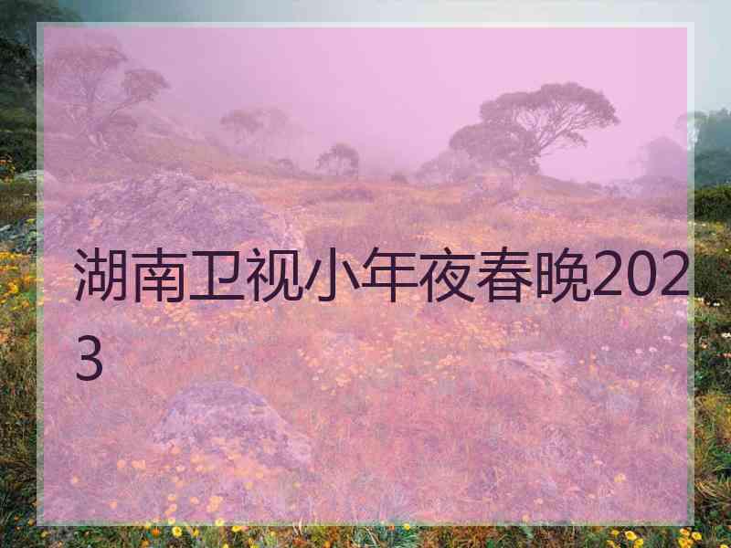 湖南卫视小年夜春晚2023