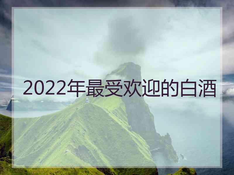 2022年最受欢迎的白酒