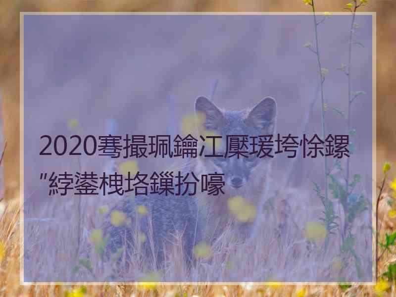 2020骞撮珮鑰冮檿瑗垮悇鏍″綍鍙栧垎鏁扮嚎