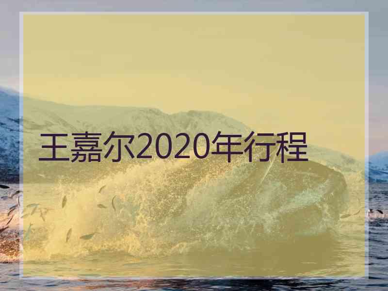 王嘉尔2020年行程