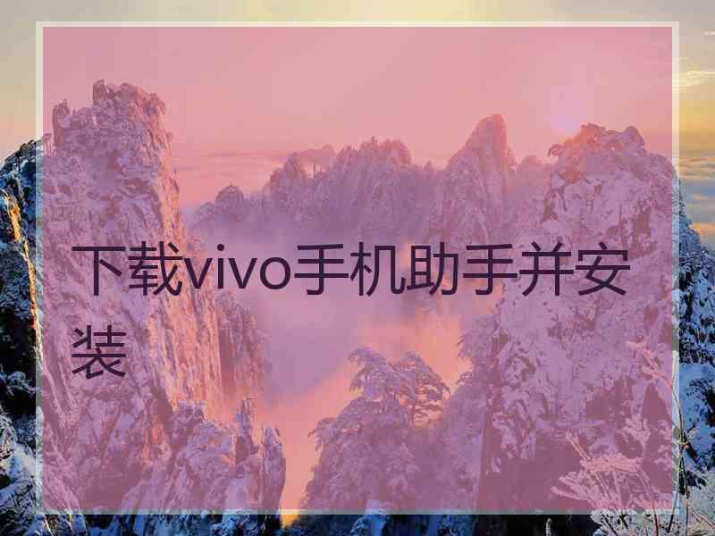 下载vivo手机助手并安装