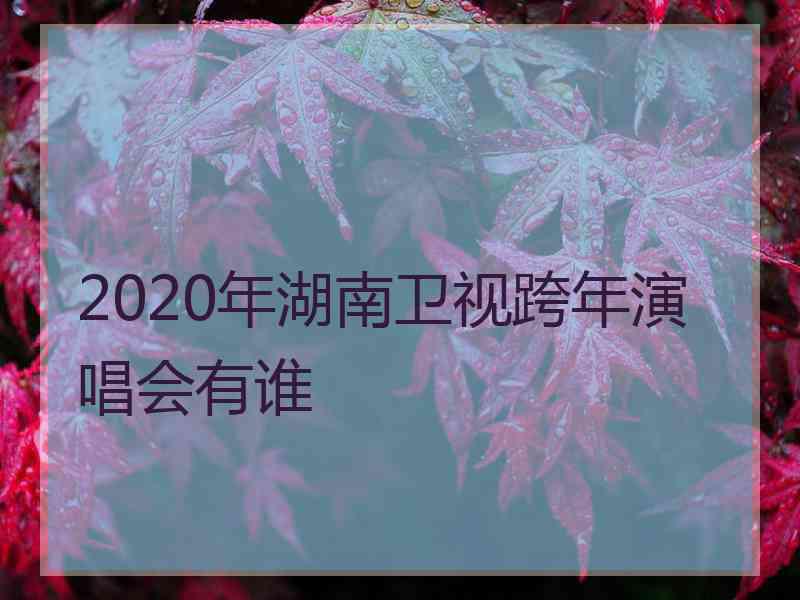 2020年湖南卫视跨年演唱会有谁